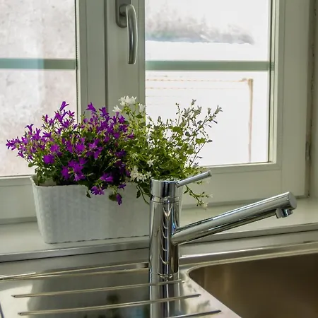 ゲストハウス Bf &